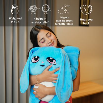 Warmlee's Weighted Stuffed Plushie (Blue)